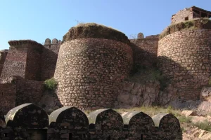 1350924-newstrack-cover